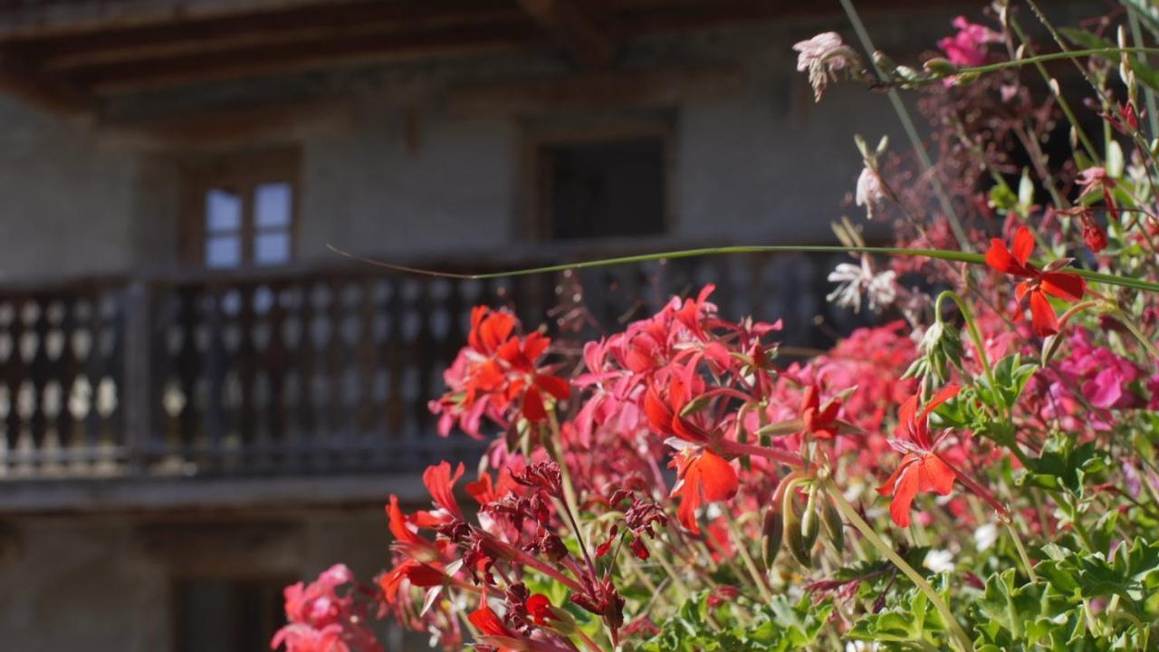 Chalet Violettes Villaroger Екстериор снимка
